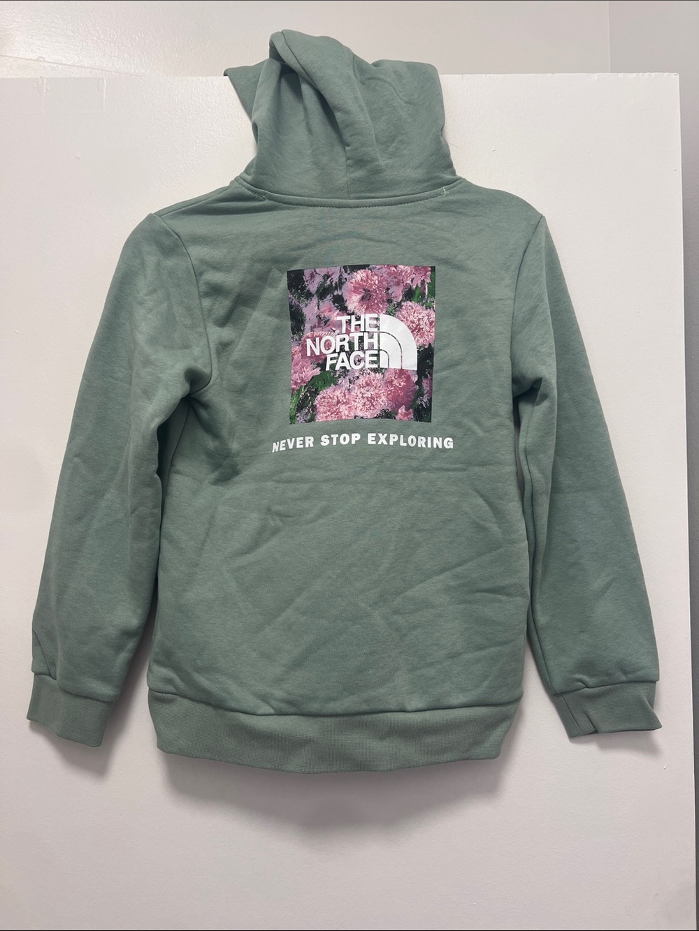 The North Face Kids’ NSE Logo Hoodie Sea Moss Green Sz S